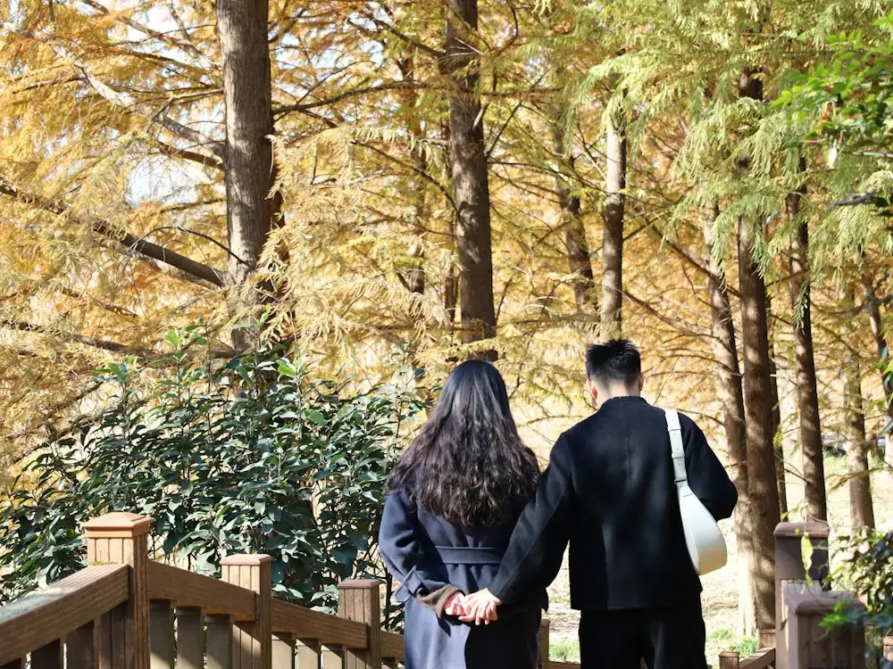 손을 잡고 숲길을 걷는 두 사람의 뒷모습